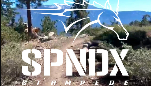 SPNDX STAMPEDE BIG BEAR EDITION VOL 4